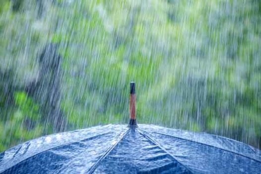 Texas umbrella insurance coverage, Actsphere insurance group