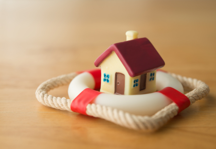 Flood Property Evolution Image