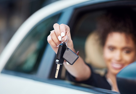 Vehicle Milestones Image