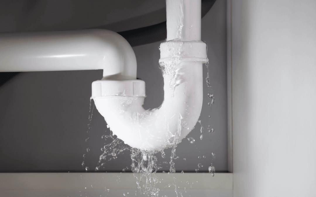 Understanding the Damage Caused by Water Leaks